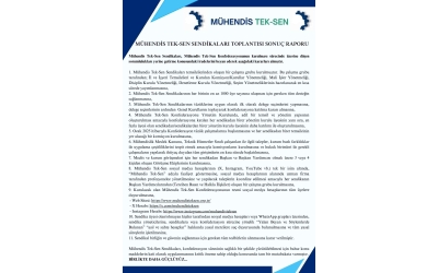 MÜHENDİS TEK-SEN SENDİKALARI TOPLANTISI SONUÇ RAPORU